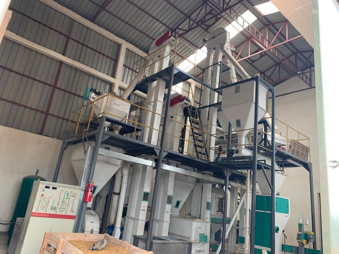 Premium Animal Feeds for Superior Results